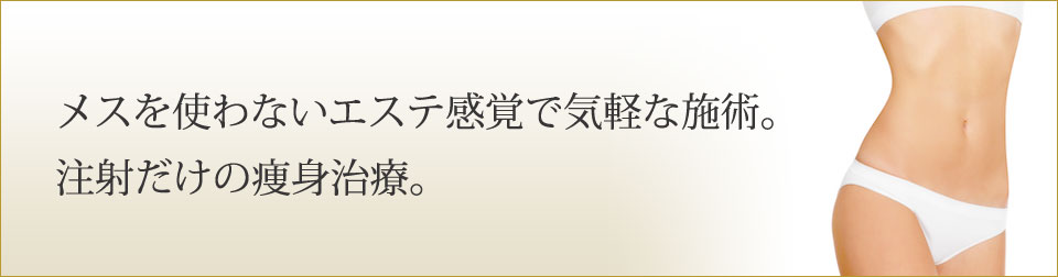 メスを使わないエステ感覚で気軽な施術。注射だけの痩身治療。