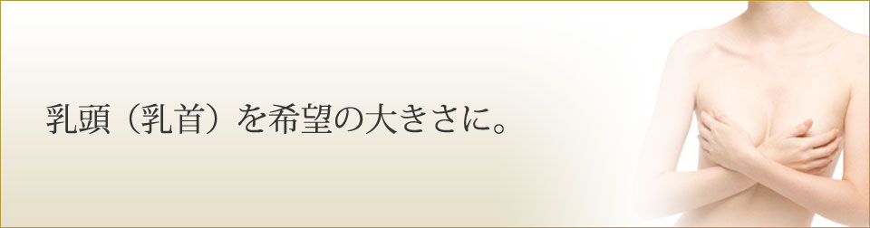 乳頭（乳首）を希望の大きさに。