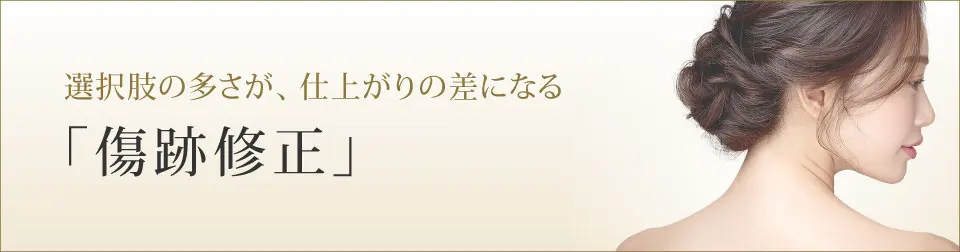 傷跡修正