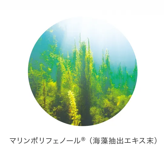 マリンポリフェノール®