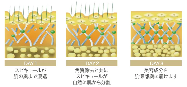 スピキュールの肌改善プロセス