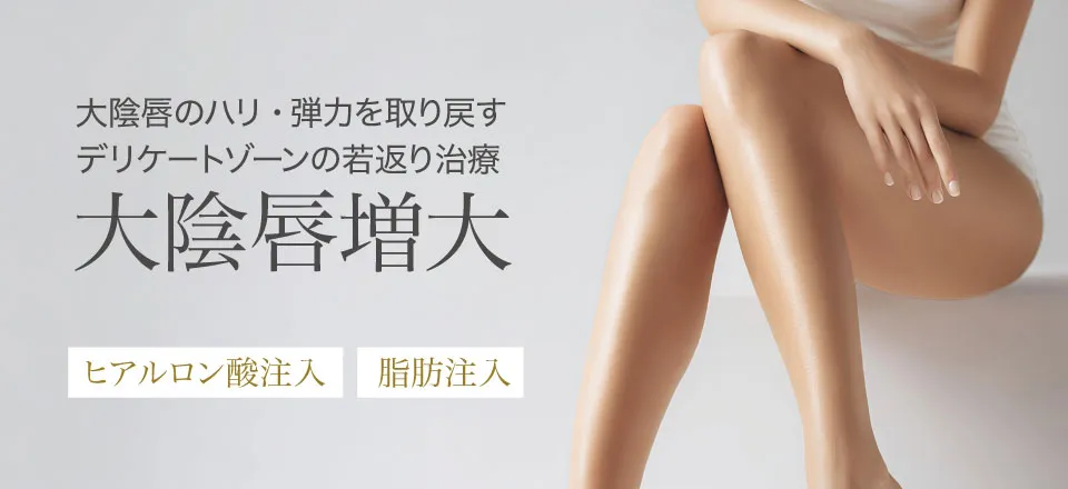 大陰唇肥大術